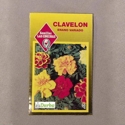 Clavelon Variado (Enano Doble)