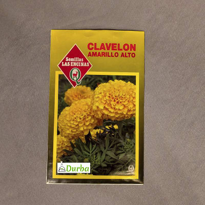 Clavelón Amarillo Alto