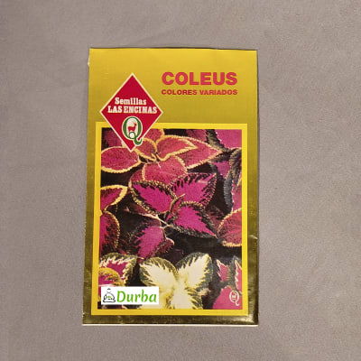Coleus (colores variados)