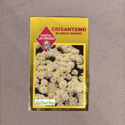 Crisantemo Blanco Enano