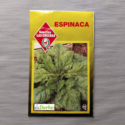 Espinaca