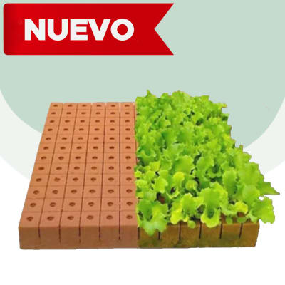 Espuma Fenólica para Hidroponía