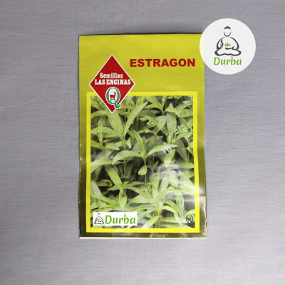 Estragon