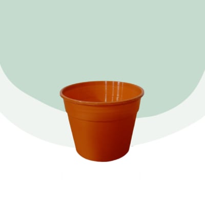 Maceta 10 Cms