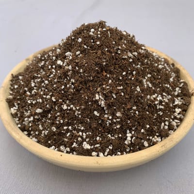 Sustrato para Huerto