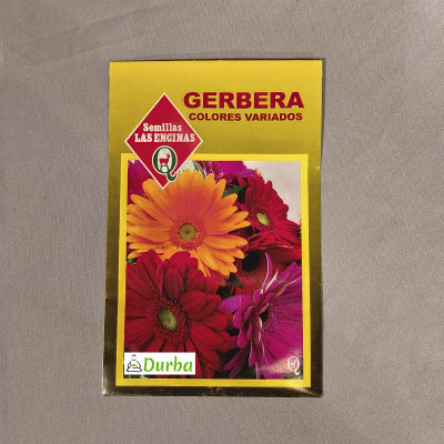 Gerbera (Colores variados)