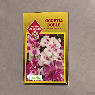 Godetia Doble (colores variados)