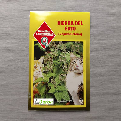 Hierba del gato (Nepeta Cataria)