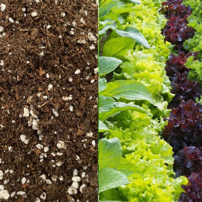 Sustrato para Huerto