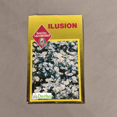 Ilusión