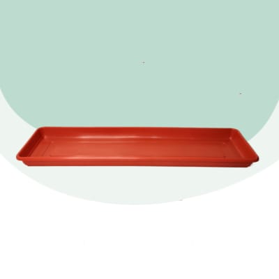 Platillo Jardinera 60