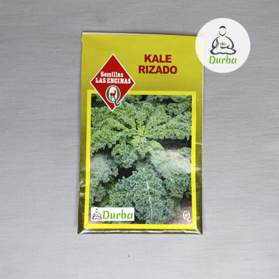 Kale Rizado