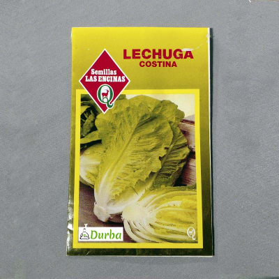 Lechuga Costina