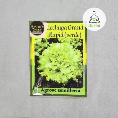 Lechuga Grand Rapid Verde