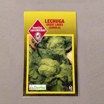 Lechuga Great Lakes (Carola)