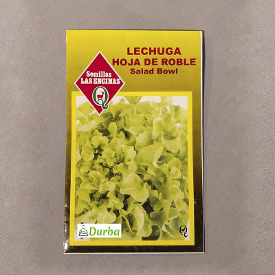 Lechuga Hoja de Roble (Salad Bowl)