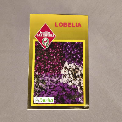Lobelia