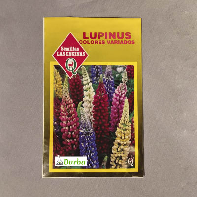 Lupinus (colores variados)
