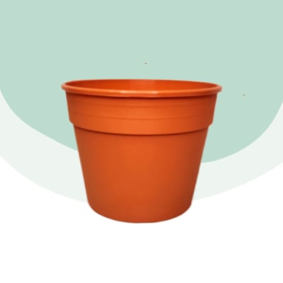 Maceta 15 cm