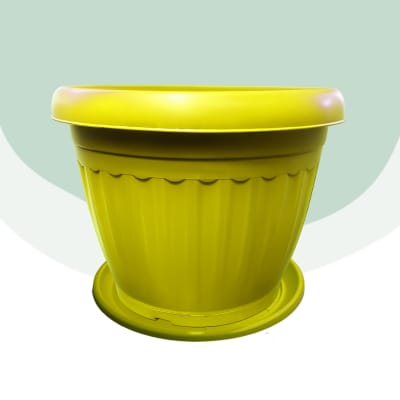 Pack Maceta 50 Redonda + Platillo