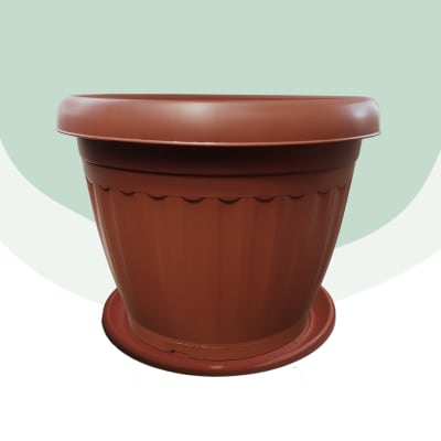 Pack Maceta 50 Redonda + Platillo