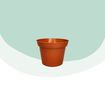 Maceta 7 cm