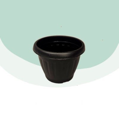 Maceta 8 cm (colores)