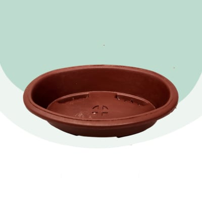 Maceta Bonsai Ovalada