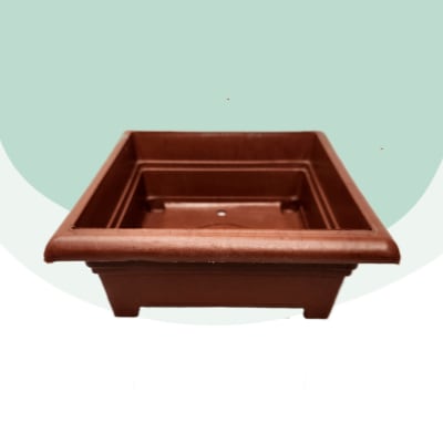 Maceta Bonsai Cuadrada