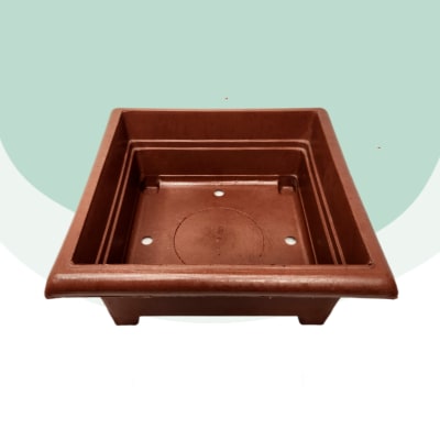 Maceta Bonsai Cuadrada