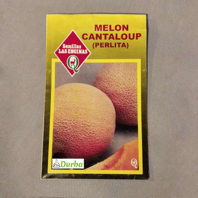Melón Cantaloup
