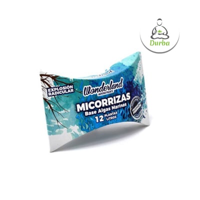 Micorrizas Wonderland