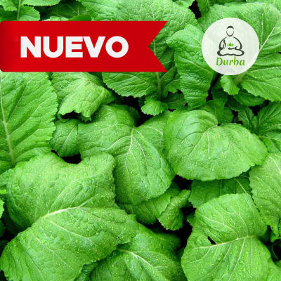 Mostaza Verde