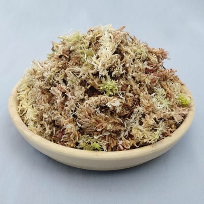 Musgo Sphagnum