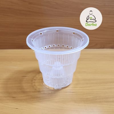 Maceta Transparente Orquídea con columna interior
