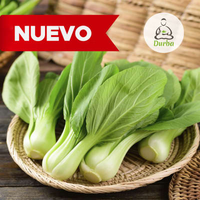 Pack Choi (verde)