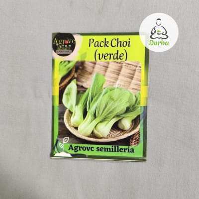 Pack Choi (verde)