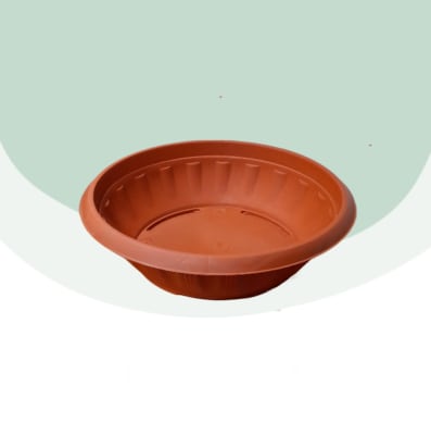 Paila Terrario N°35