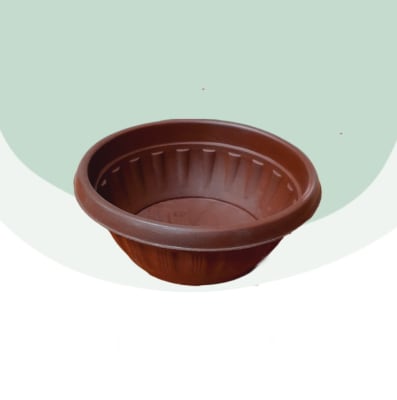 Paila Terrario N°13