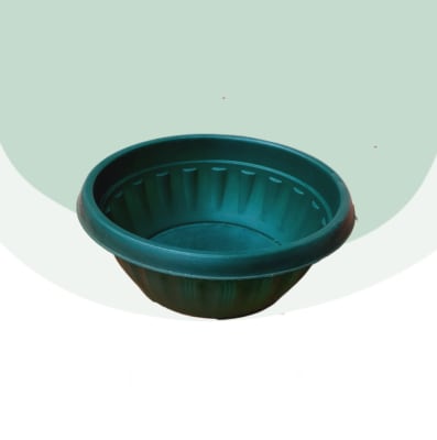 Paila Terrario N°13