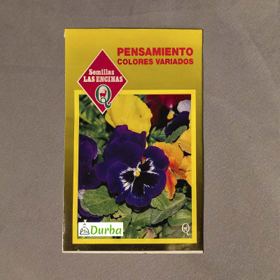 Pensamiento (Colores variados)