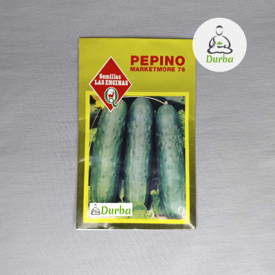 Pepino Marketmore