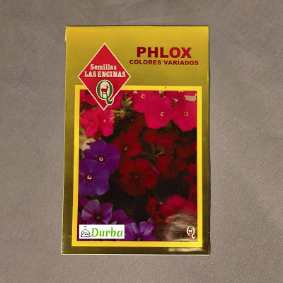 Phlox (Colores variados)