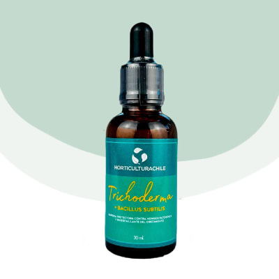 Trichodermas + Bacillus bioestimulante y barrera protectora