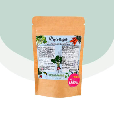 Micorrizas Hongos Beneficiosos