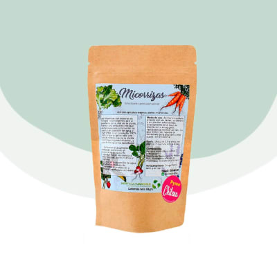 Micorrizas Hongos Beneficiosos