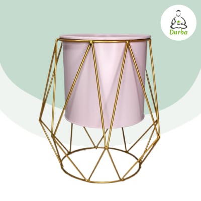 Portamacetas de Lata