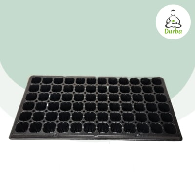 Almaciguera 72 Cavidades