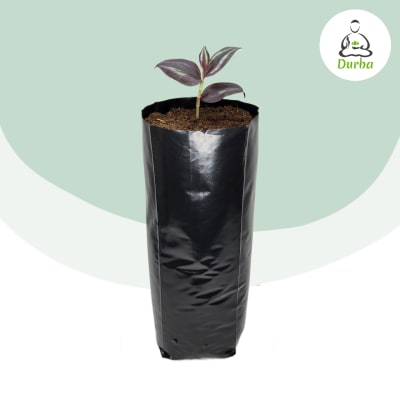 Bolsa para Plantas 20x40 cm