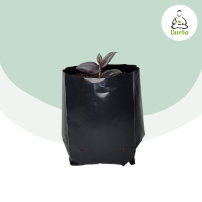 Bolsa para Plantas 25x25 cm